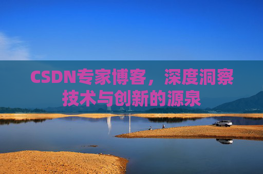 CSDN专家博客，深度洞察技术与创新的源泉